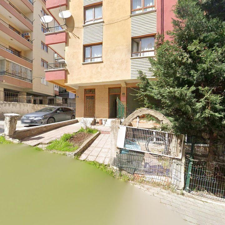 Fotoğraf 3