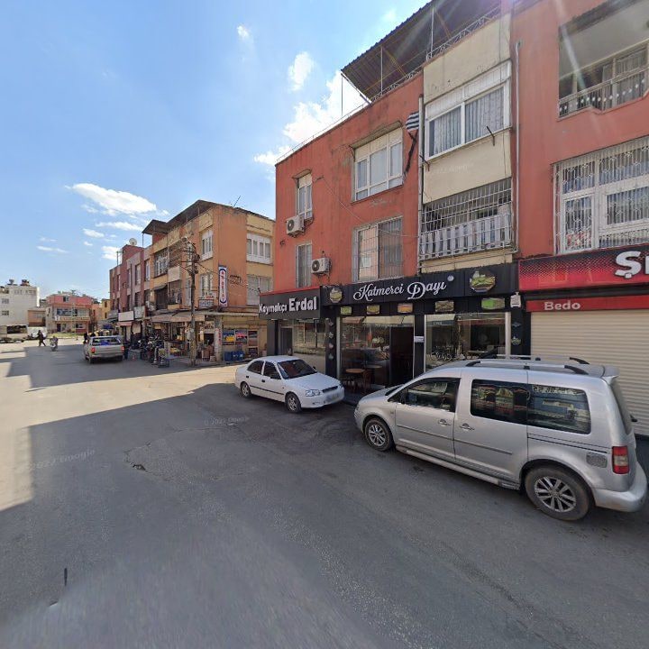 Fotoğraf 10