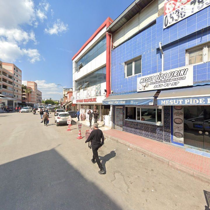Fotoğraf 12