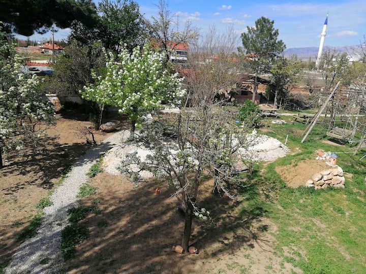 Fotoğraf 2