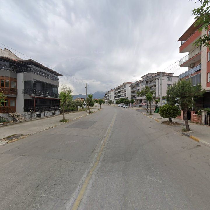 Fotoğraf 10