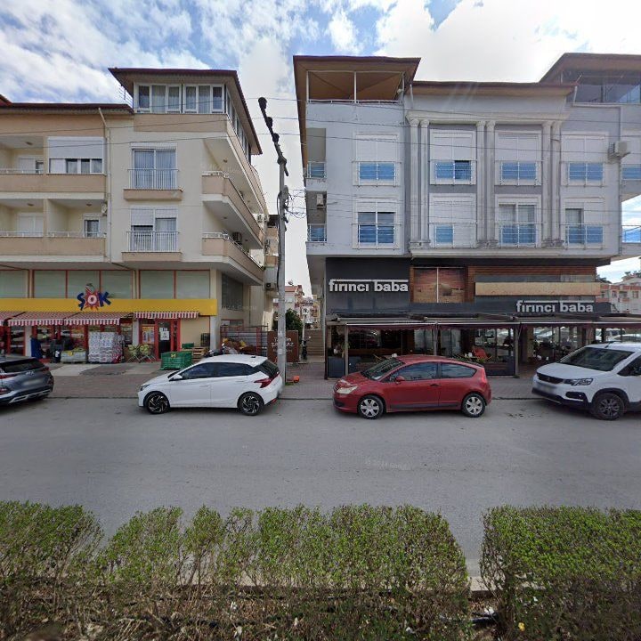 Kavak ağacı fırın