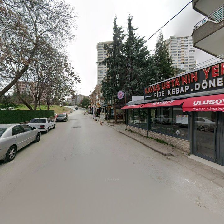 Fotoğraf 12