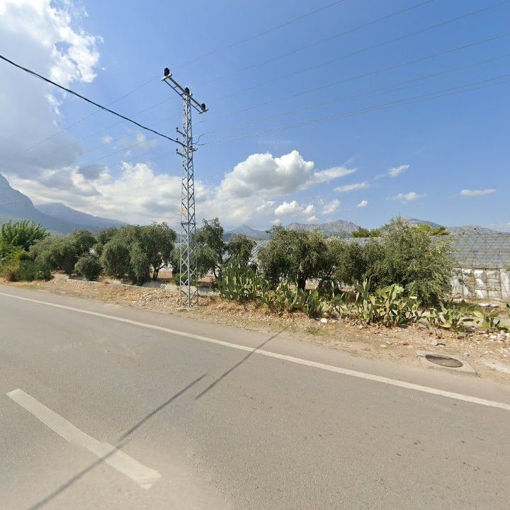 Fotoğraf 7