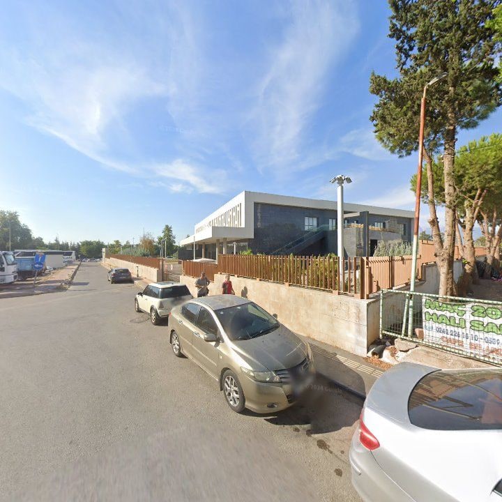 Fotoğraf 7