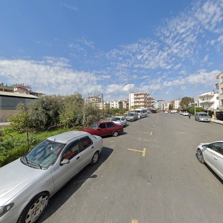 Fotoğraf 9