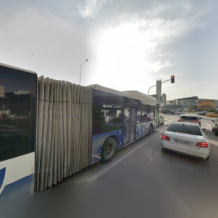 Fotoğraf 11