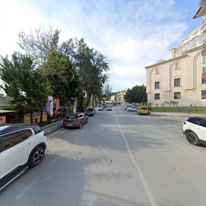 Fotoğraf 10