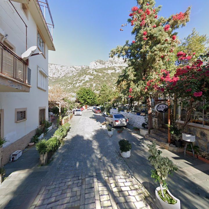 Fotoğraf 10