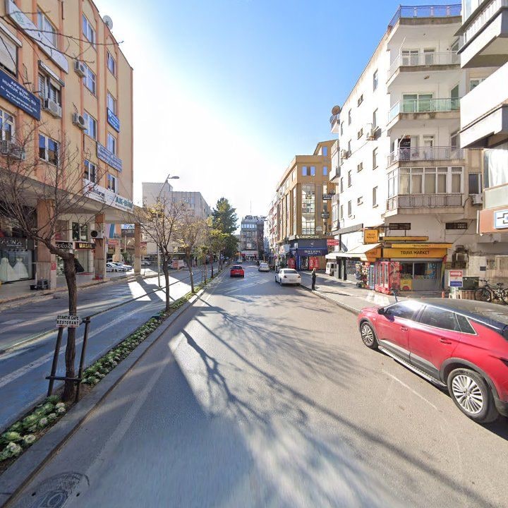 Fotoğraf 9