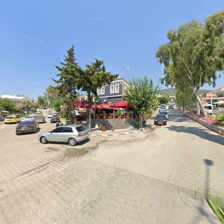 Fotoğraf 7