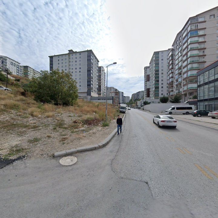 Fotoğraf 8