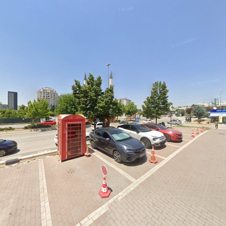 Fotoğraf 8