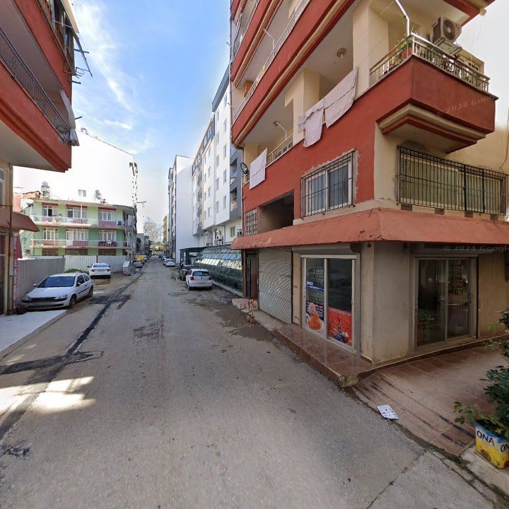 Fotoğraf 10
