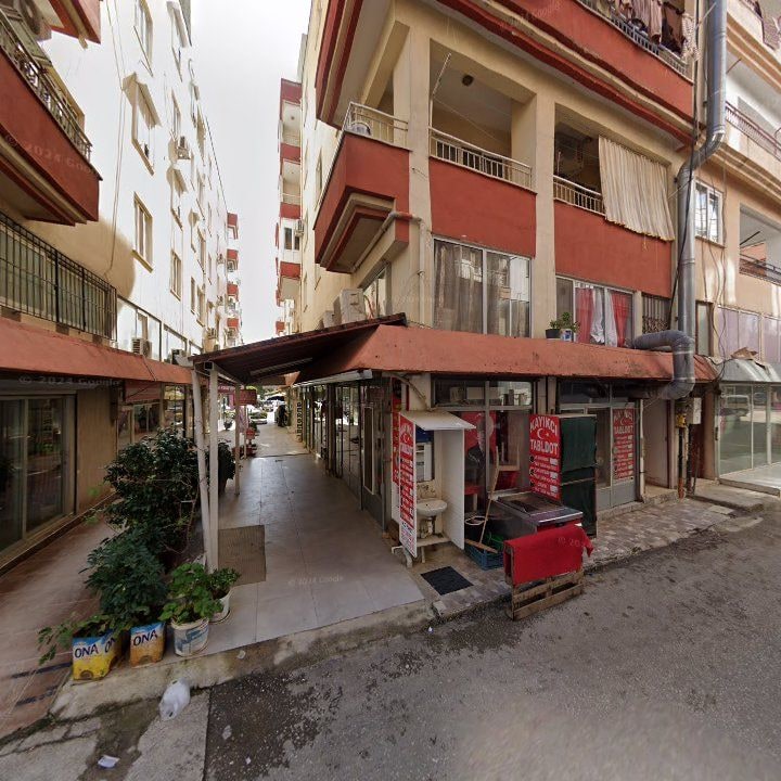 Fotoğraf 7