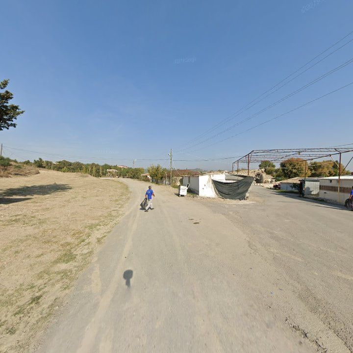 Fotoğraf 11