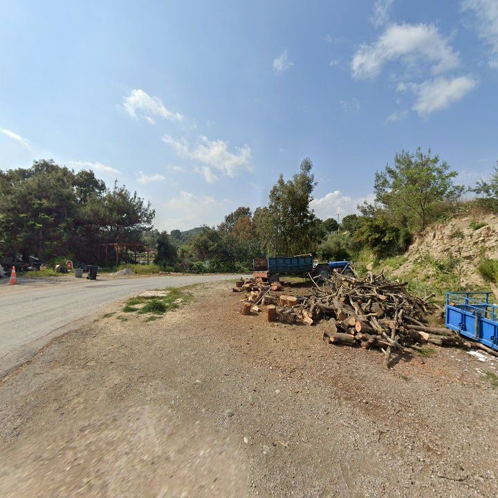 Fotoğraf 6
