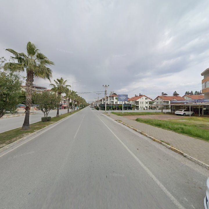 Fotoğraf 12