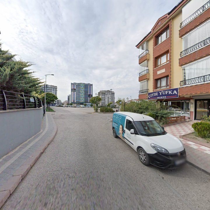 Fotoğraf 10