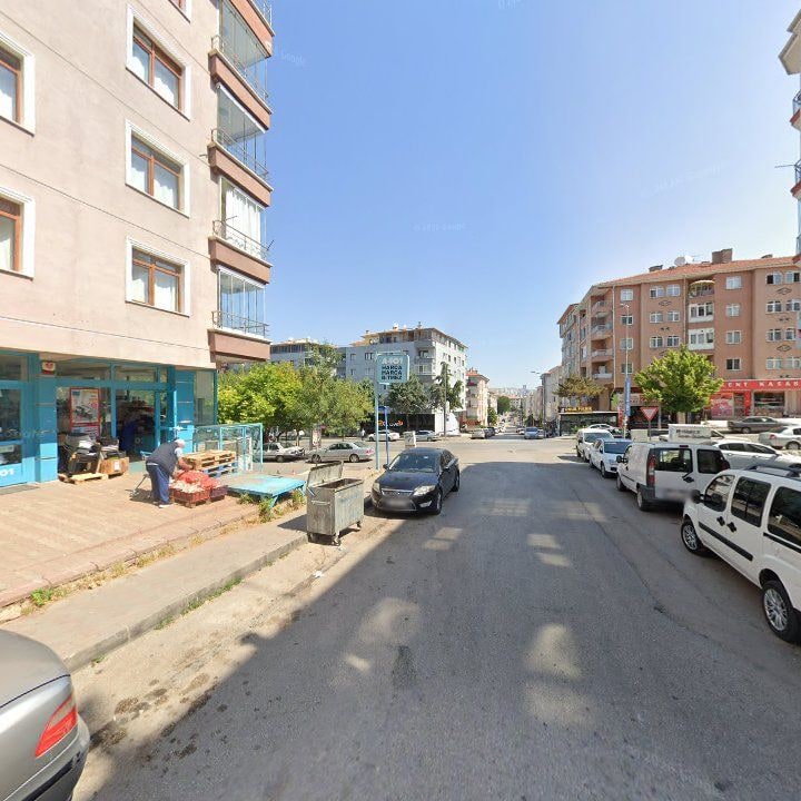 Fotoğraf 9