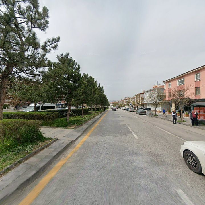 Fotoğraf 9