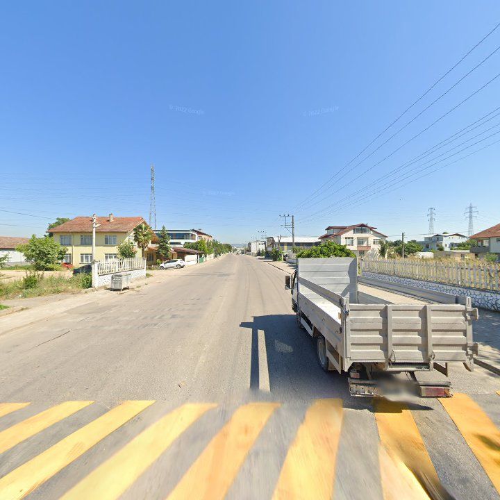 Fotoğraf 7