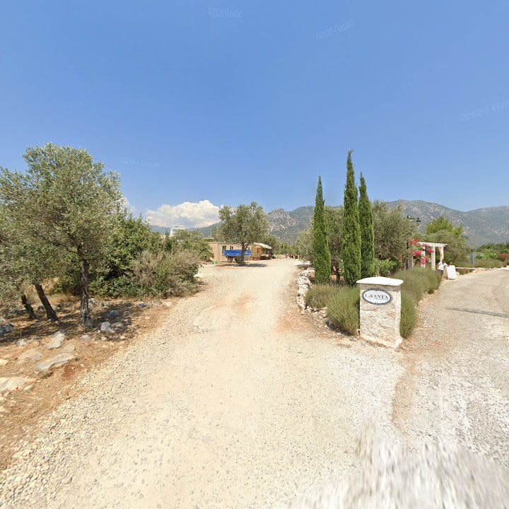 Fotoğraf 9