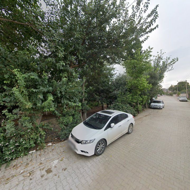 Fotoğraf 6