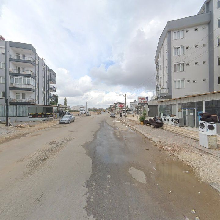 Fotoğraf 10