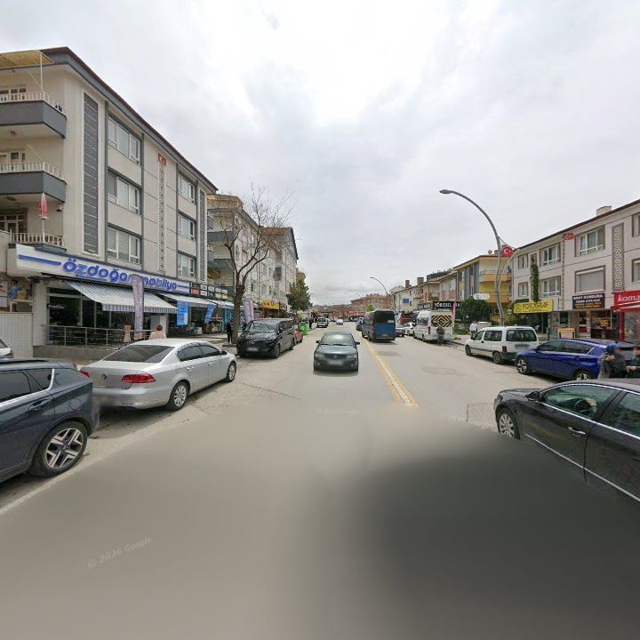 Fotoğraf 8