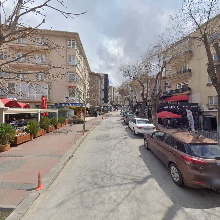 Fotoğraf 12