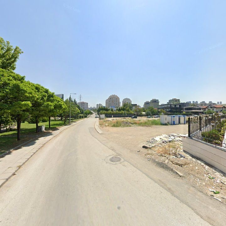 Fotoğraf 12