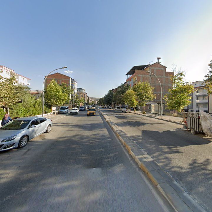 Fotoğraf 9