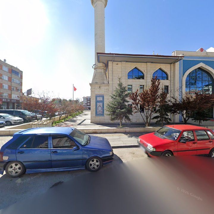 Fotoğraf 6