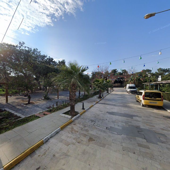 Fotoğraf 9