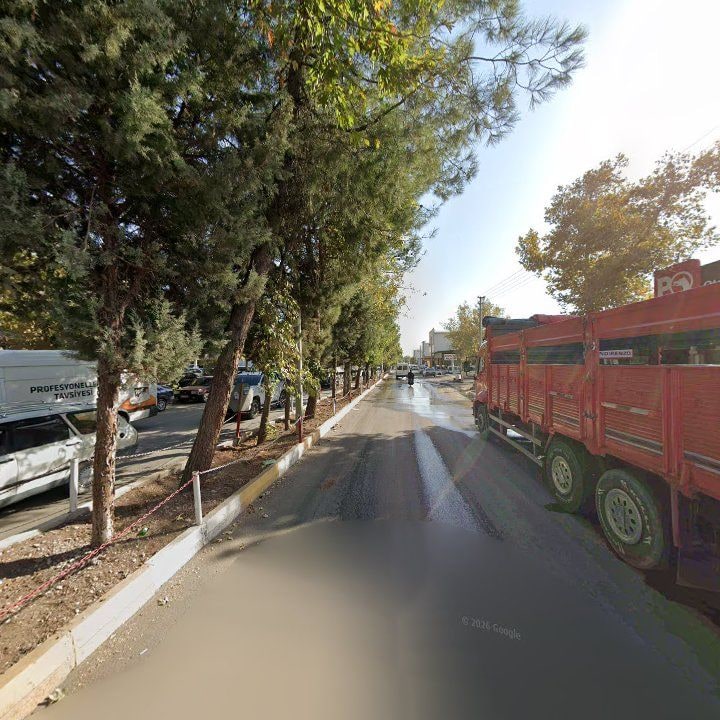 Fotoğraf 5