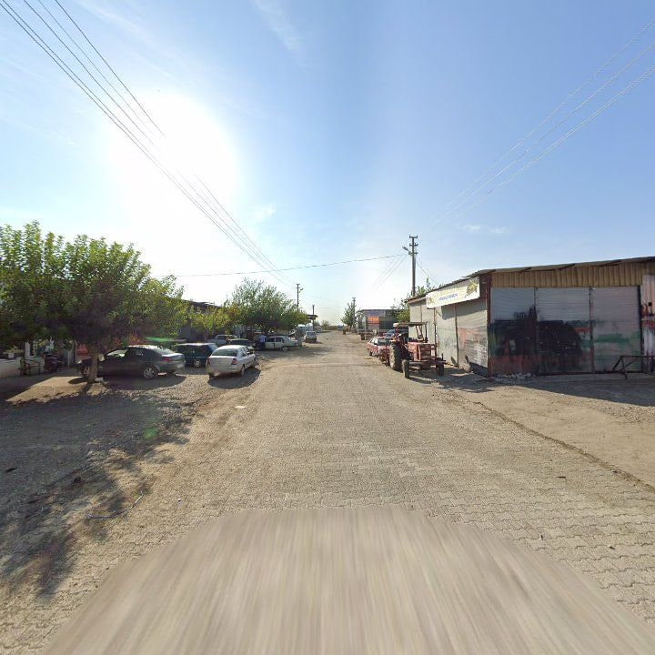 Fotoğraf 5