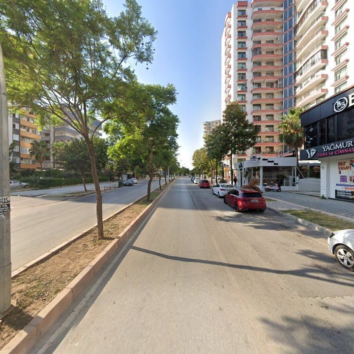 Fotoğraf 10