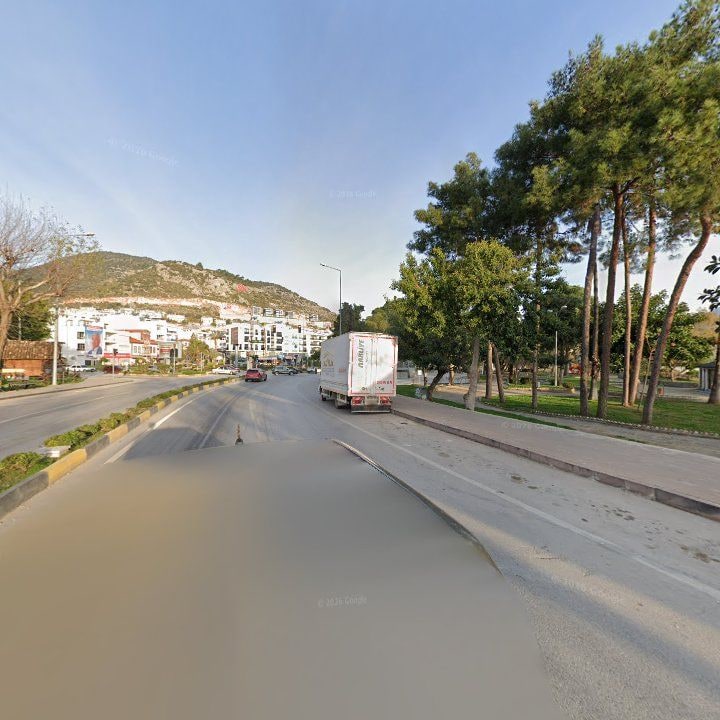Fotoğraf 9