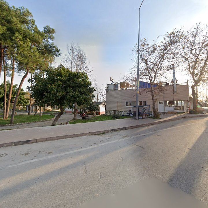 Fotoğraf 10