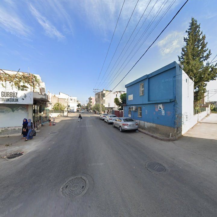 Fotoğraf 4
