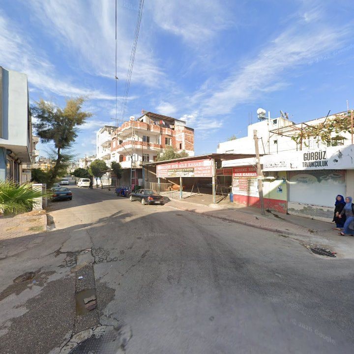 Fotoğraf 3