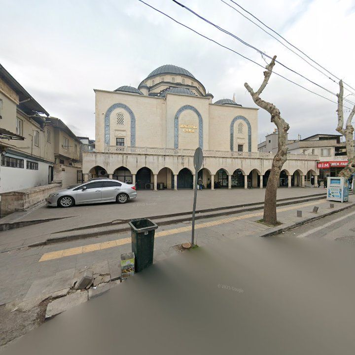 Fotoğraf 9
