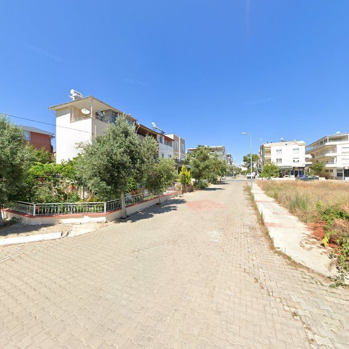 Fotoğraf 11