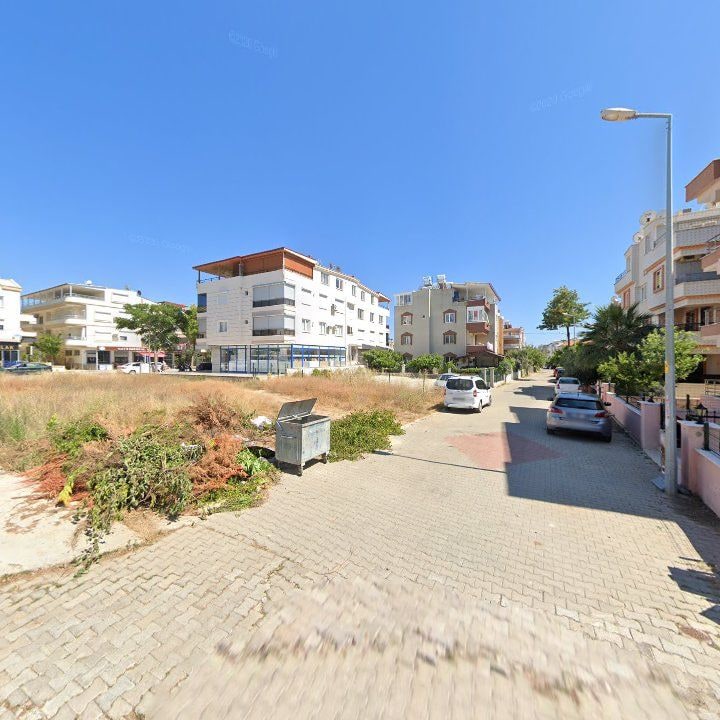 Fotoğraf 12