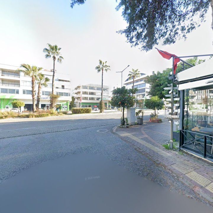 Fotoğraf 15
