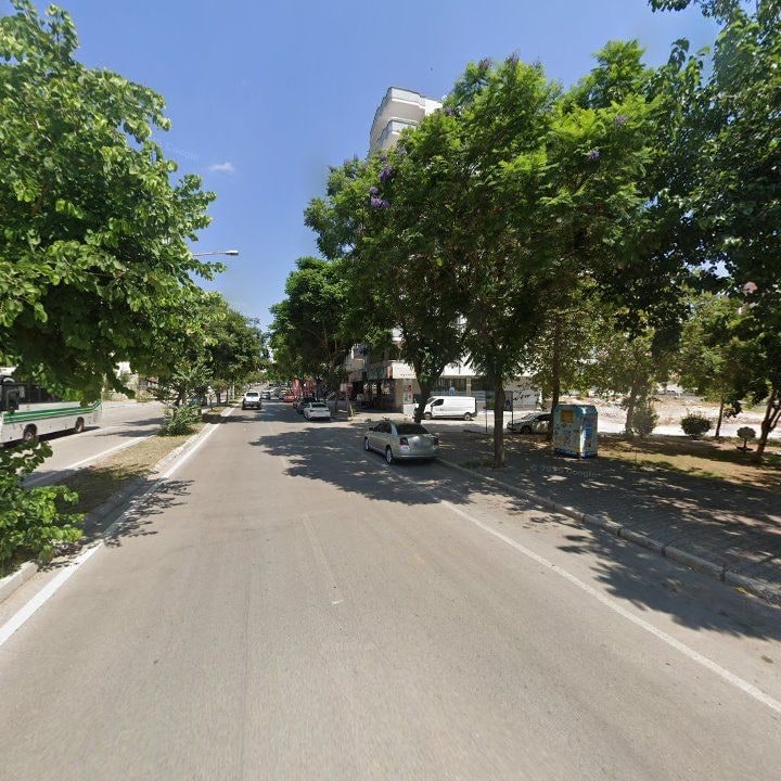 Fotoğraf 7