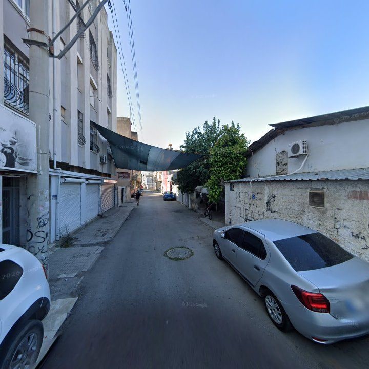 Fotoğraf 14