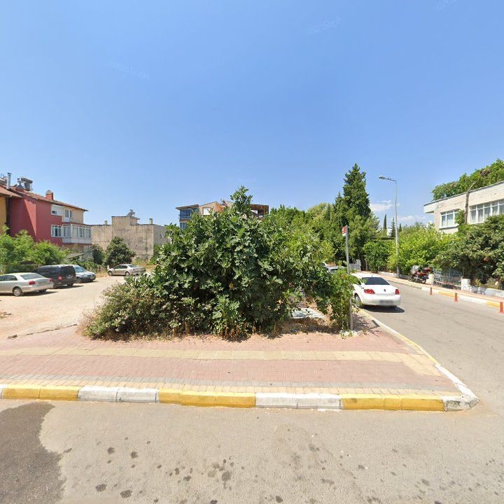 Fotoğraf 3