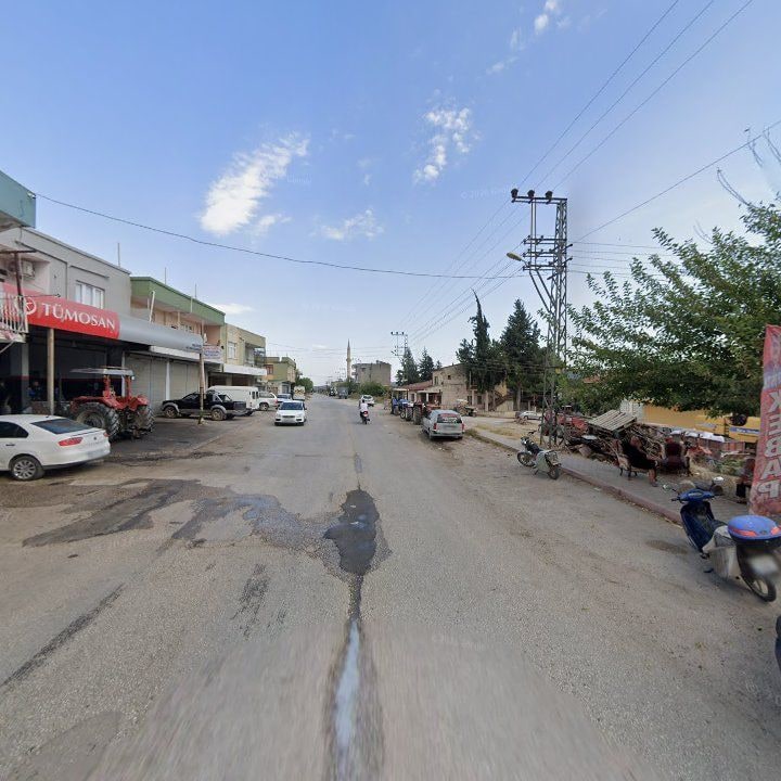 Fotoğraf 6